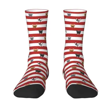 Чорапи с червена ивица с забавен принтом френски булдог за жени и мъже, ластични чорапи за лятото, есента и зимата, чорапи за кученца и животни