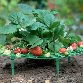 Пластмасов инструмент за отглеждане на растения Кръг за отглеждане на ягоди Укрепване часова Селскостопанска рамка Градински клетки за лозови растения, Градински принадлежности